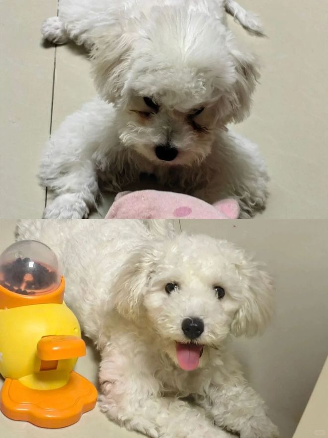 镜护理液”还有妙用!真是让人大开眼界pg电子中国网站没想到过期的“隐形眼(图4) 镜护理液”还有妙用!真是让人大开眼界pg电子中国网站没想到过期的“隐形眼(图4)